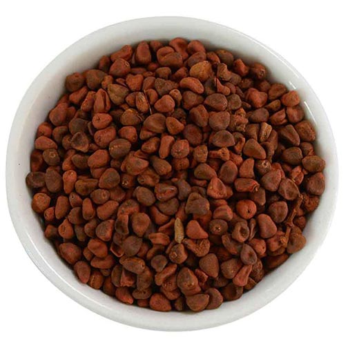 Annato Seeds - Achiote Seeds - Bixa Orellana - Bija - Roucou - Orellana Seeds