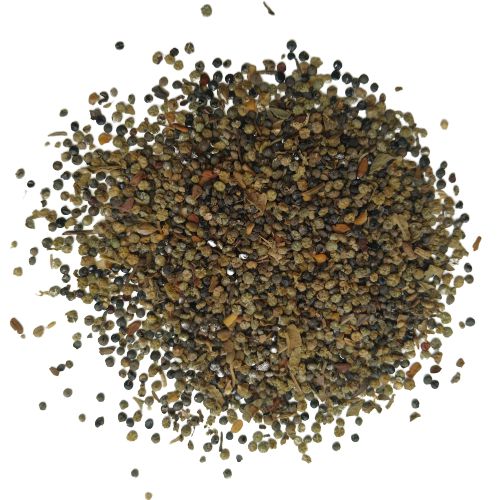 Bathua Seeds - Bathua Beej - Lambsquarter Seeds - Lambsquarters Seed - Chenopodium Seeds
