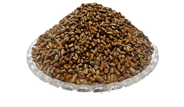 Beej Puwar - Pawar Seeds - Panwar Seeds - Cassia Tora Seeds