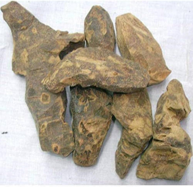 Chobchini - Chopchini - China Root - Smilax Glabra