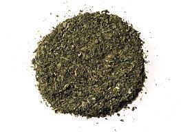 Green Tea Leaves - Camellia sinensis