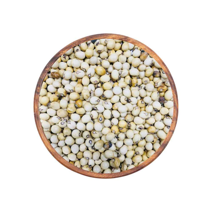 Gunja Safed Seeds - Chirmati Safed Beej - White Ratti - Rosary Pea - Abrus Precatorius
