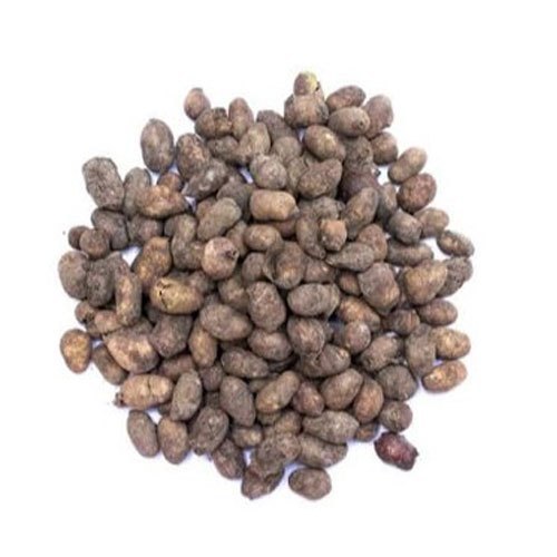 Jamun Seeds Guthli - Syzygium Cumini - Black Plum - Java Plum