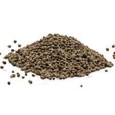 Nirgundi Seeds - Sambhalu Beej - Chaste Seeds - Nirgund