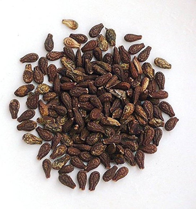 Shivlingi Seeds - Shivlingi Beej - Bryonia Laciniosa