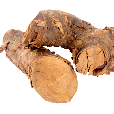 Sugandh Mantri - Gandhi Roots - Homalomena aromatica
